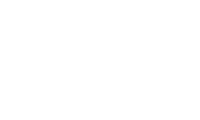 Overland Insurance Services